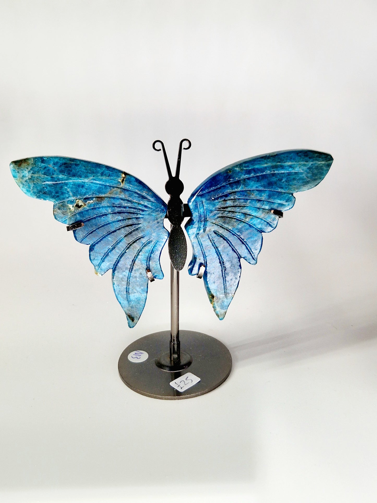 Celestial Blue Apatite Butterfly Wings on Stand