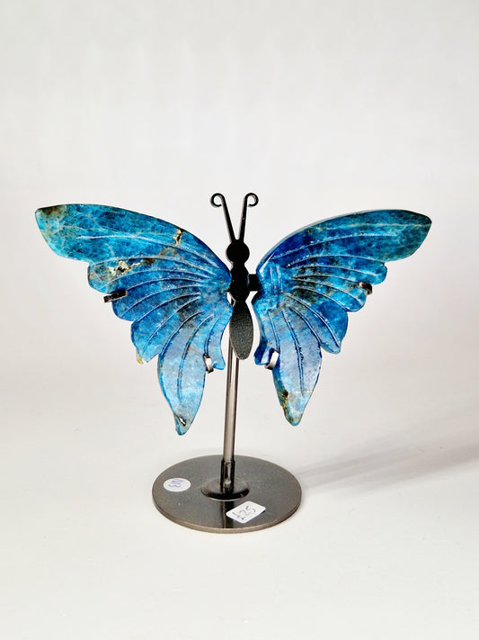 Celestial Blue Apatite Butterfly Wings on Stand