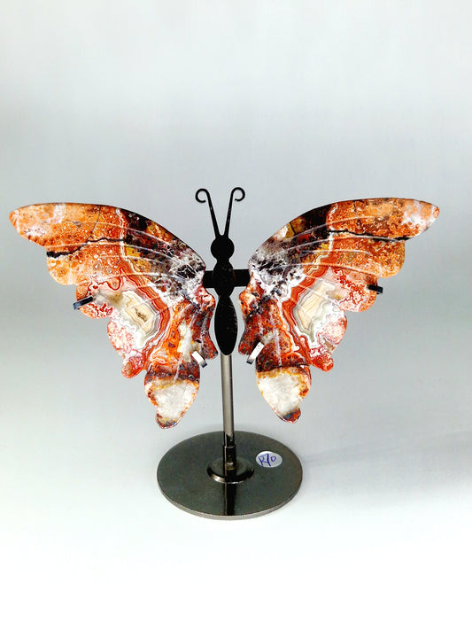 Crazy Lace Mexican Agate Butterfly Wings on Stand