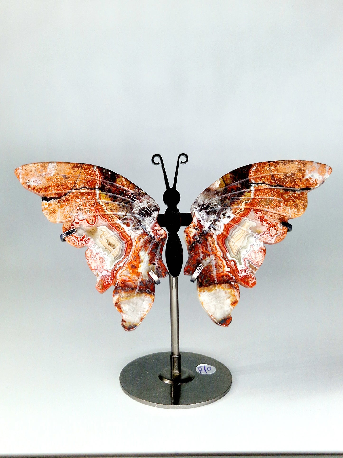 Crazy Lace Mexican Agate Butterfly Wings on Stand