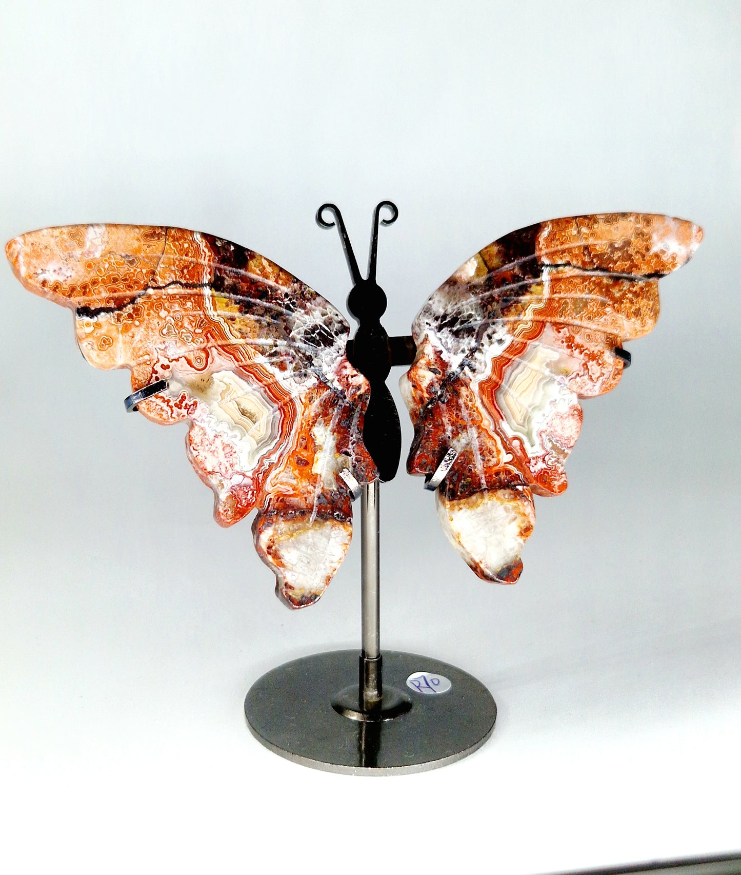 Crazy Lace Mexican Agate Butterfly Wings on Stand