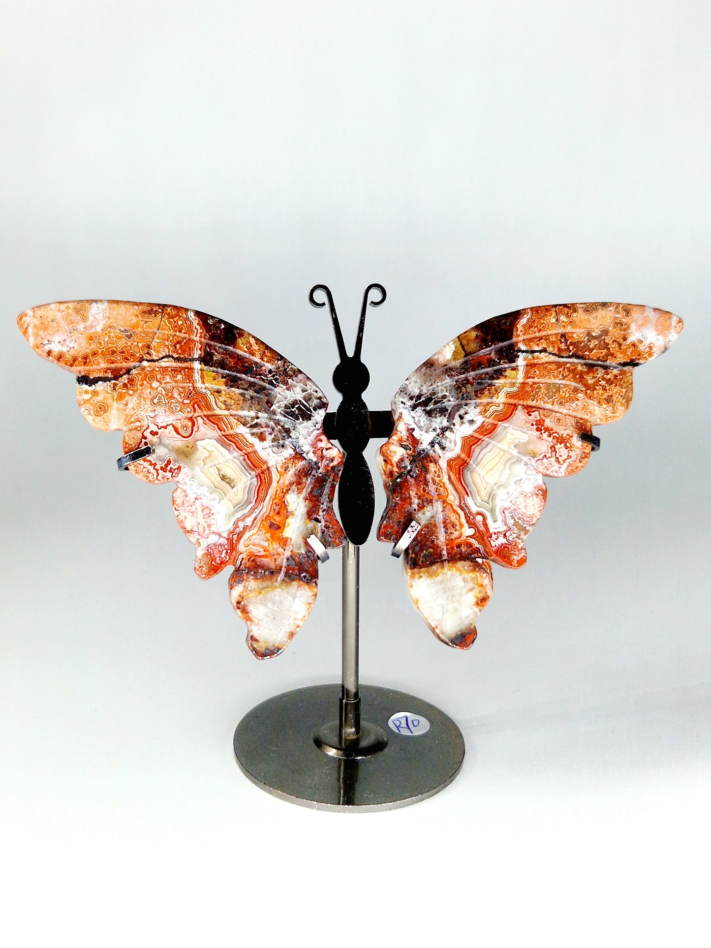 Crazy Lace Mexican Agate Butterfly Wings on Stand