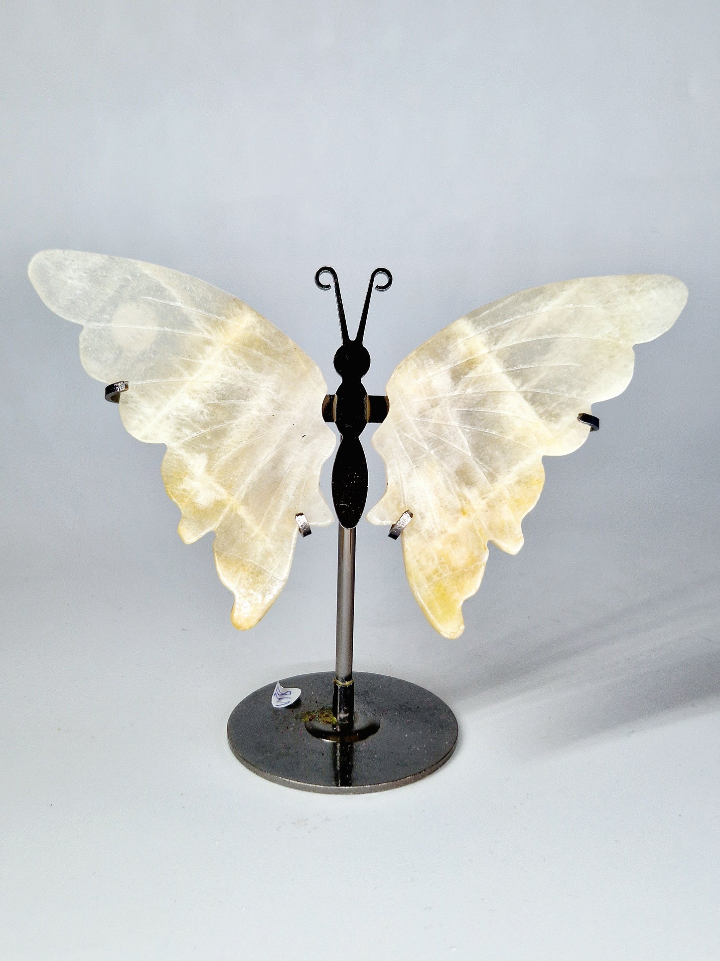 Moonstone with Blue Flash Butterfly Wings on Metal Stand - Lunar Magic
