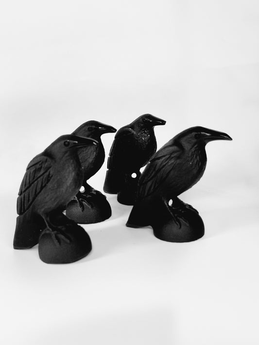 Obsidian Raven