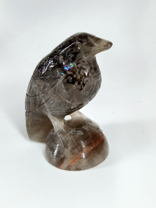 Smokey Quartz Raven
