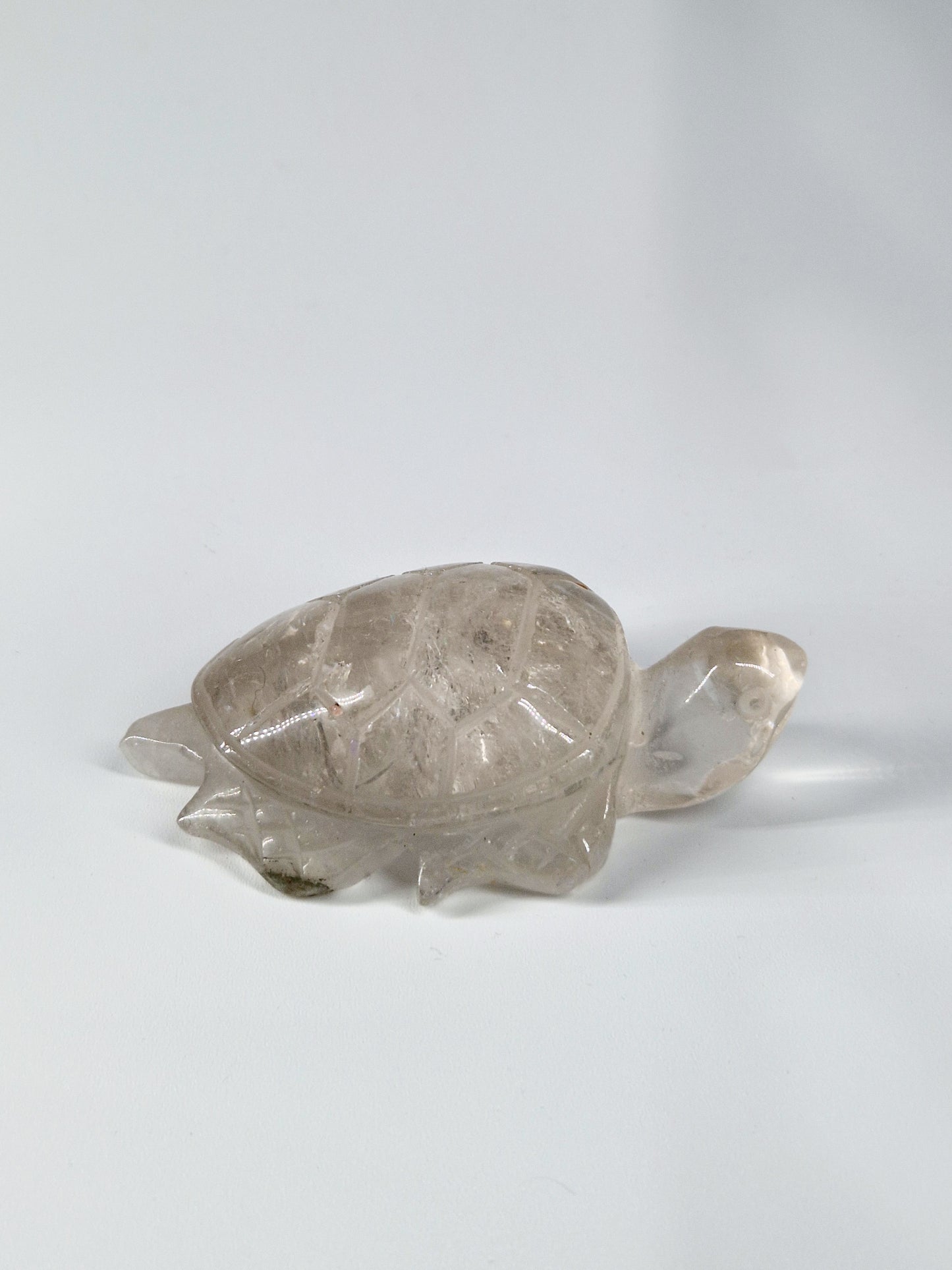 Quartz Crystal Turtle with Garden Quartz Feet – A Symbol of Wisdom & Stability