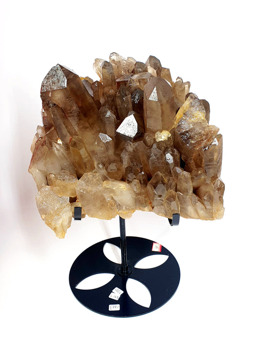 XL 4kl Raw Smokey Quartz Mineral With Natural Points  - Crystal Collectors Piece