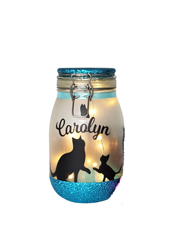 Large Personalised Cat Themed Light