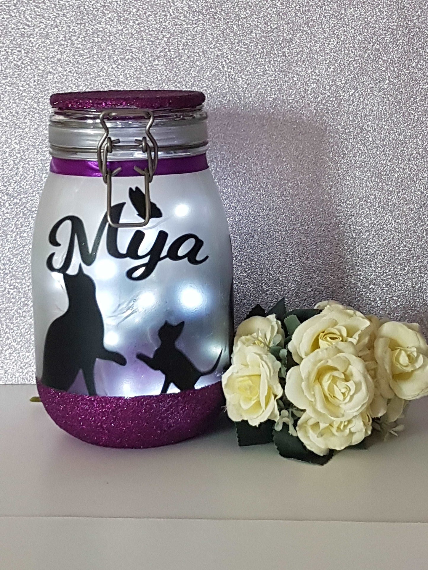 Large Personalised Cat Themed Light
