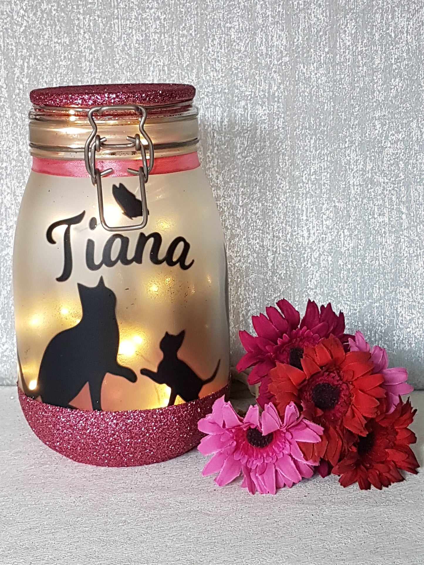 Large Personalised Cat Themed Light