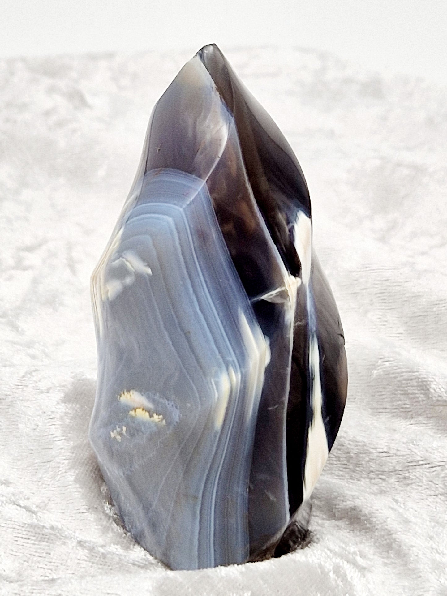 Orca Agate Flame Carving - Oceanic Power