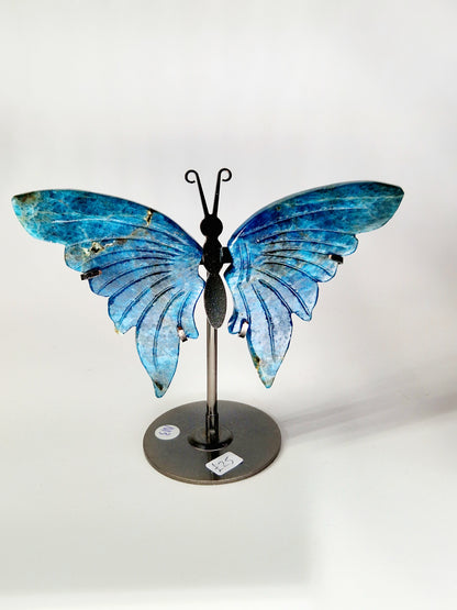 Celestial Blue Apatite Butterfly Wings on Stand