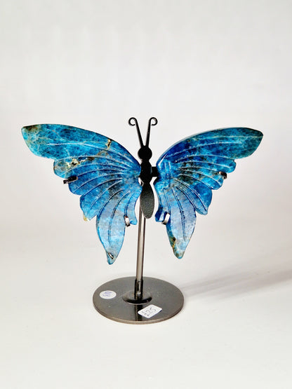Celestial Blue Apatite Butterfly Wings on Stand