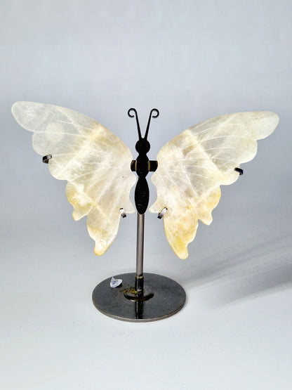 Moonstone with Blue Flash Butterfly Wings on Metal Stand - Lunar Magic