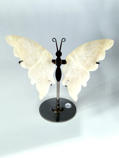 Moonstone with Blue Flash Butterfly Wings on Metal Stand - Lunar Magic