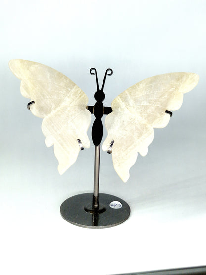 Moonstone with Blue Flash Butterfly Wings on Metal Stand - Lunar Magic