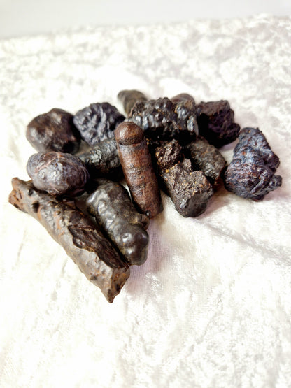Egyptian Black Diamond Quartz (Prophecy Stone) - Mystical Wisdom (one supplied)