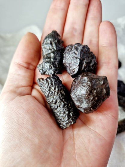 Egyptian Black Diamond Quartz (Prophecy Stone) - Mystical Wisdom (one supplied)