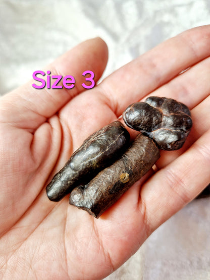 Egyptian Black Diamond Quartz (Prophecy Stone) - Mystical Wisdom (one supplied)