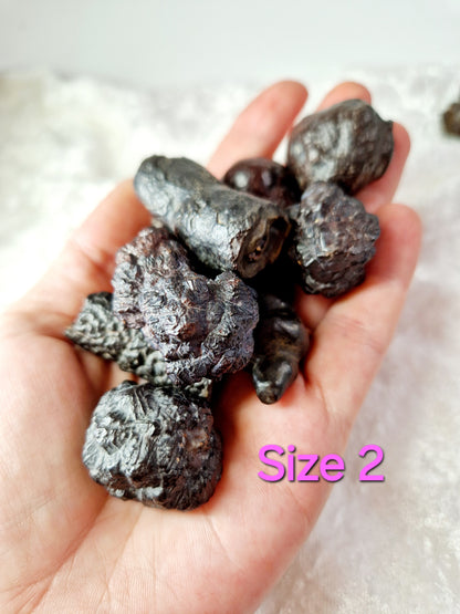 Egyptian Black Diamond Quartz (Prophecy Stone) - Mystical Wisdom (one supplied)