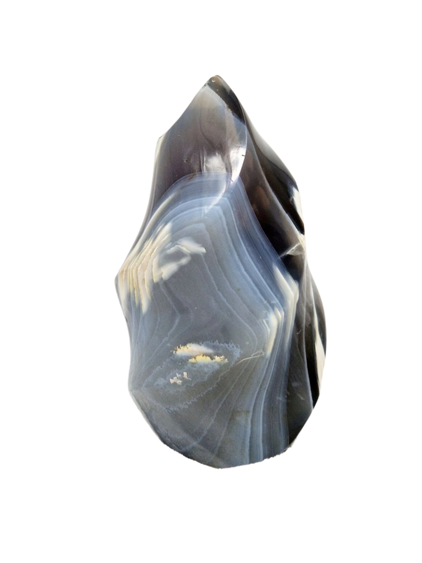 Orca Agate Flame Carving - Oceanic Power